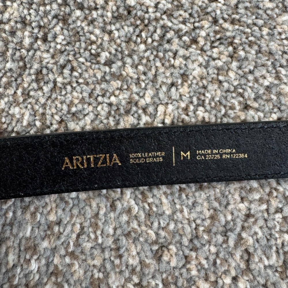 Aritzia Accent Solid Brass Leather Belt - Picture 6 of 11